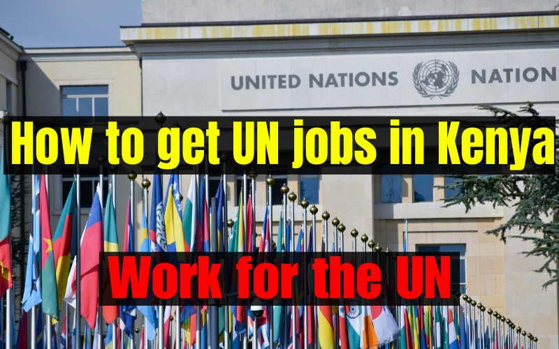 How to get UN jobs in Kenya